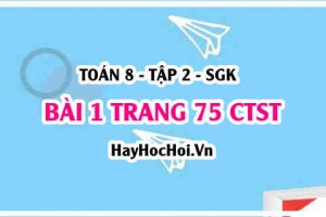 Bài 1 trang 75 Toán 8 Tập 2 Chân trời sáng tạo